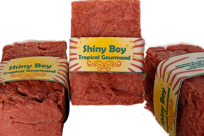 Three Shiny Boy coral soap bars grouped together on a white background, featuring the bold retro yellow sunburst label design