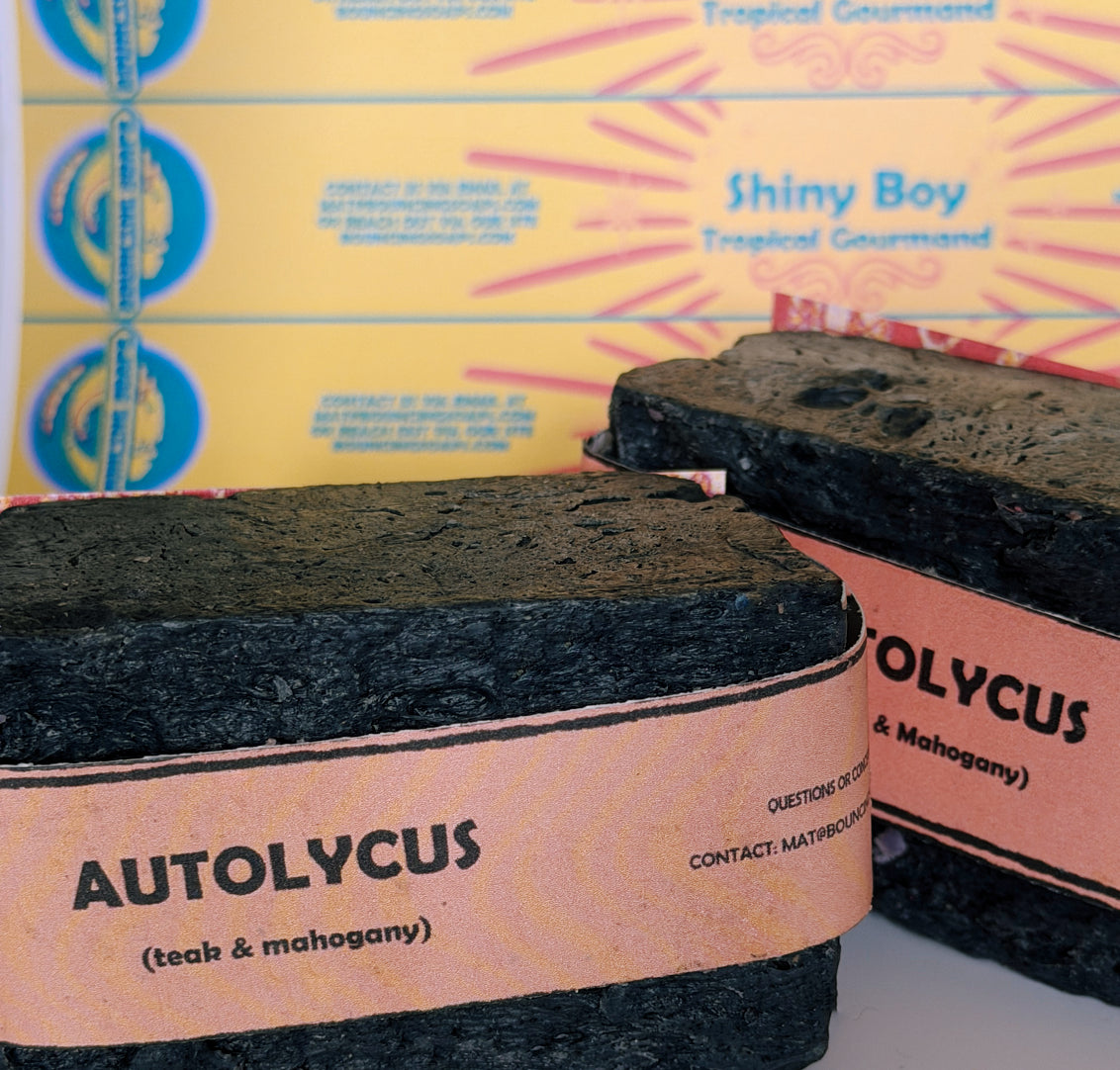 Two bars of Autolycus handmade soap by Bouncing Soaps showing dark black texture