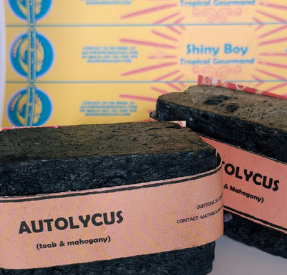 Two bars of Autolycus handmade soap by Bouncing Soaps showing dark black texture