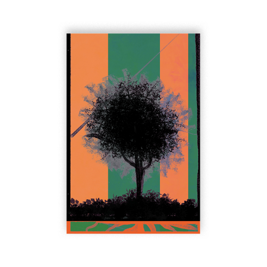 Nature in the City | 4x6 Silver Pearlescent Cardstock Postcards variety pack | set of 6
